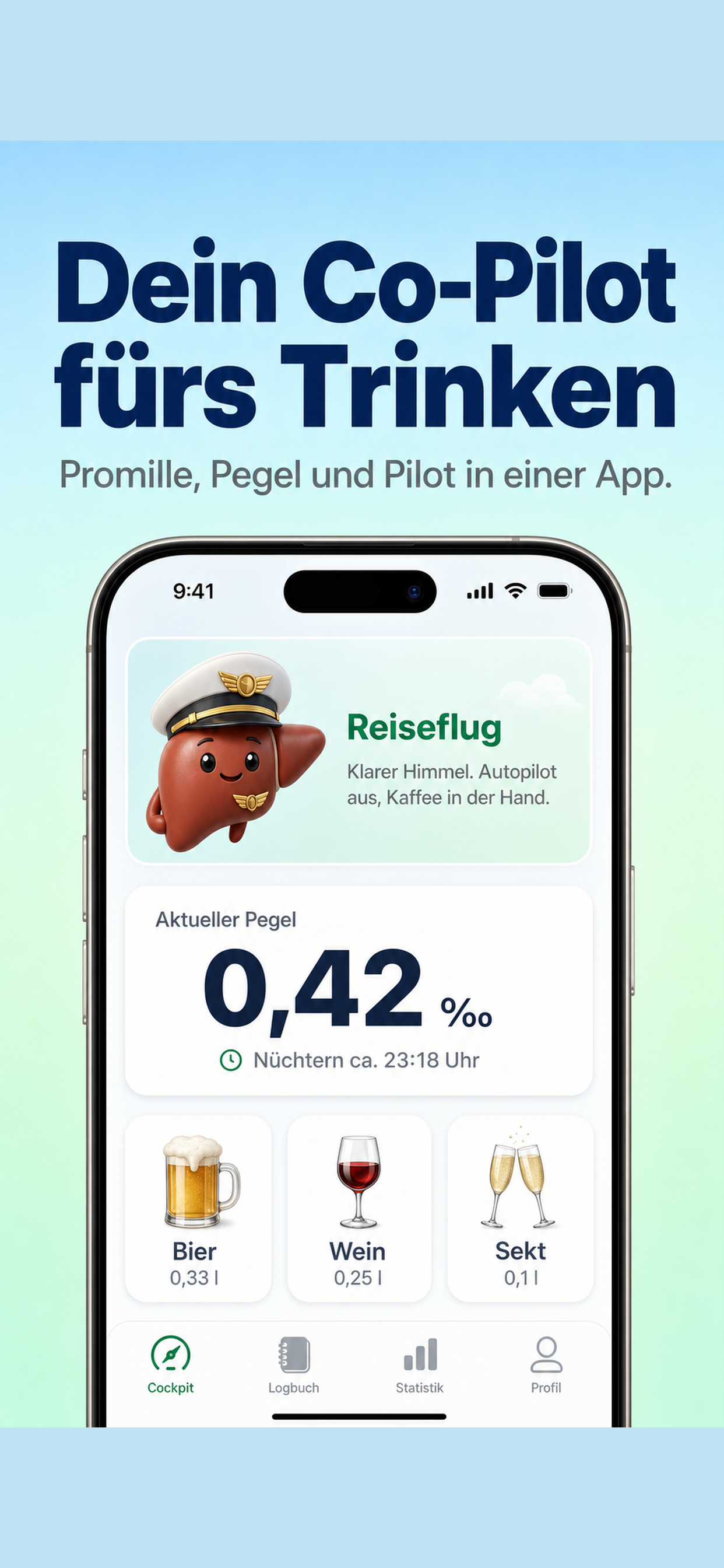 Pegelpilot Cockpit-Ansicht